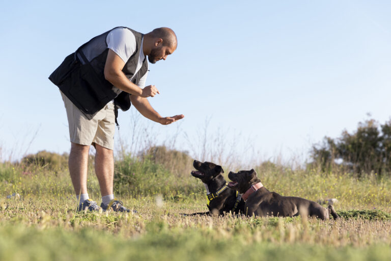 Consistency in Dog Training: Why It’s Important