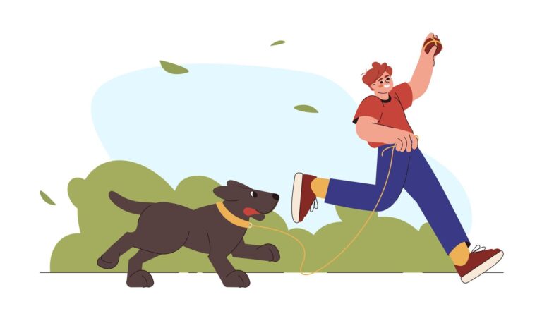 Reactive dogs