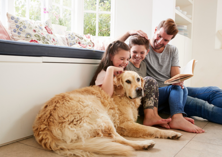 Creating a Dog Emergency Plan for Your Family